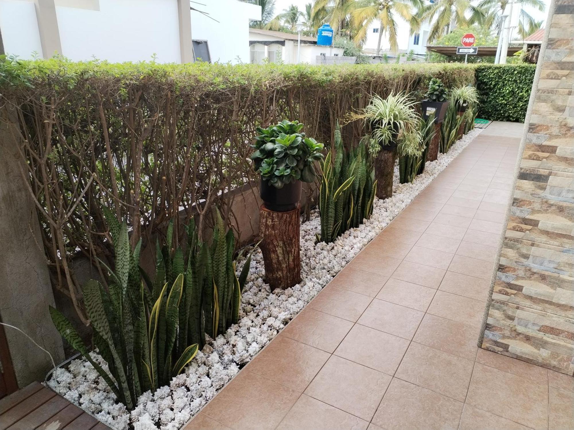 Hotel Starfish Puerto Villamil Esterno foto